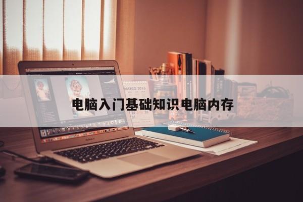 电脑入门基础知识电脑内存