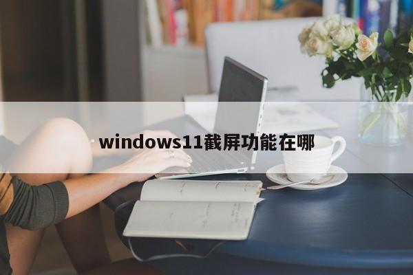 windows11截屏功能在哪