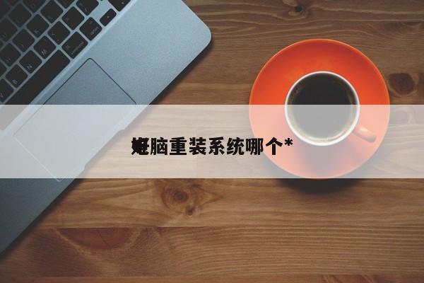 电脑重装系统哪个*
好