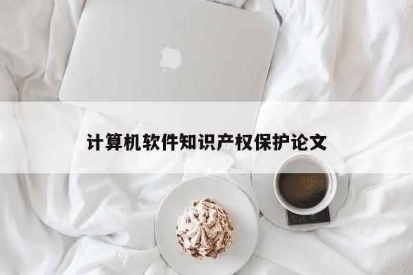 计算机软件知识产权保护论文